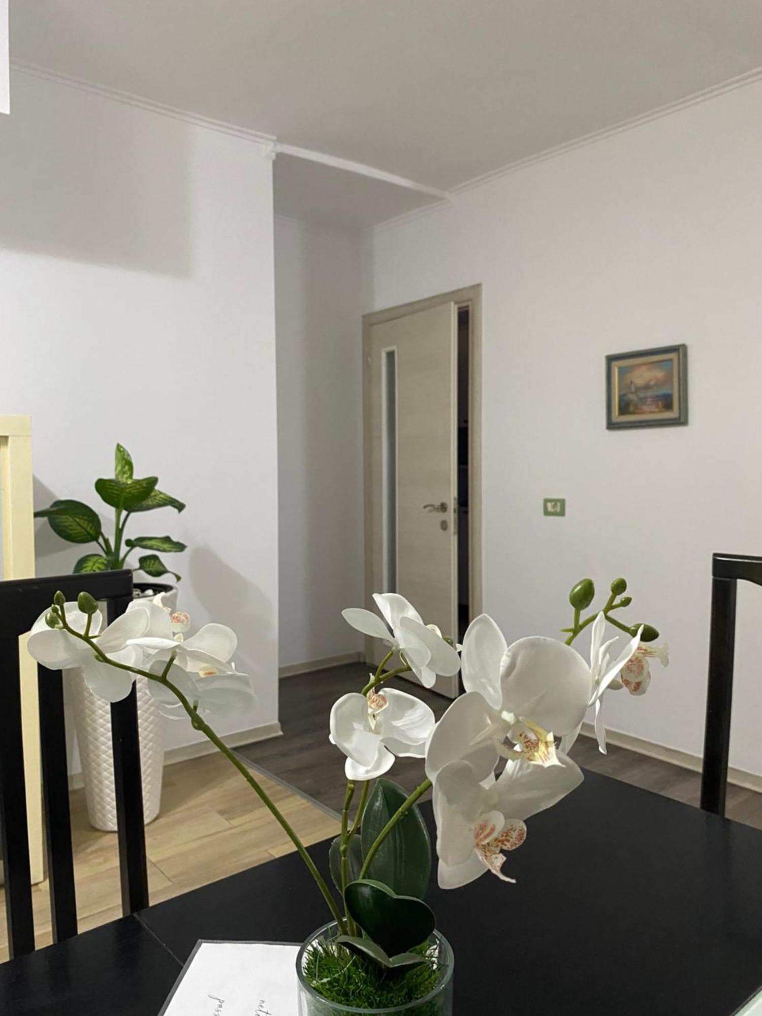 Main Apartment Tirana Zewnętrze zdjęcie