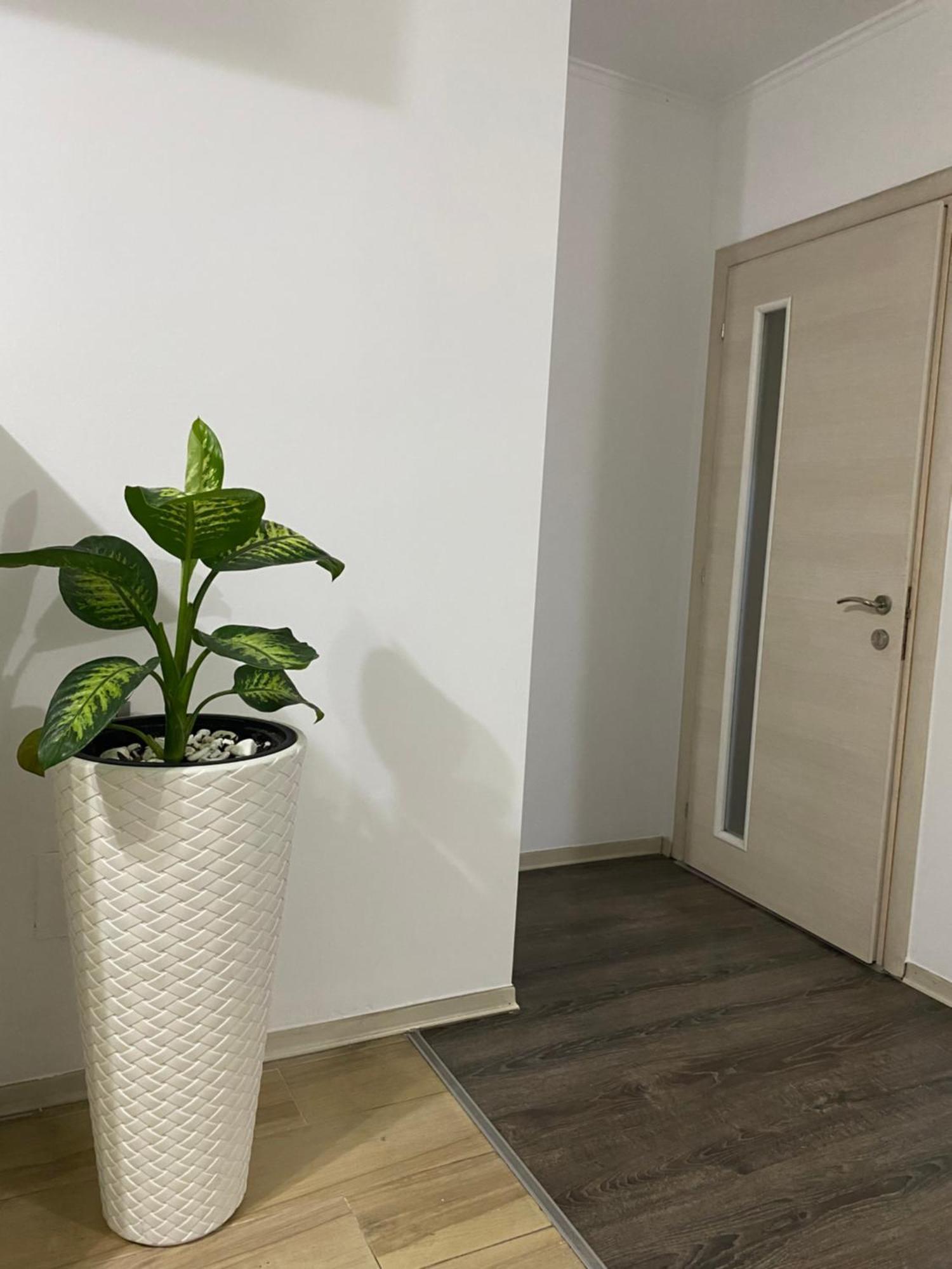 Main Apartment Tirana Zewnętrze zdjęcie